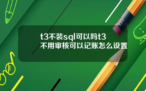 t3不装sql可以吗t3不用审核可以记账怎么设置