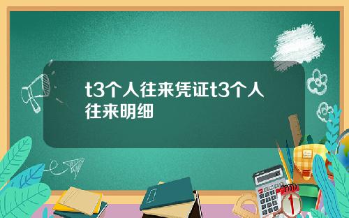 t3个人往来凭证t3个人往来明细