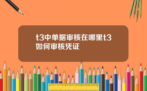 t3中单据审核在哪里t3如何审核凭证