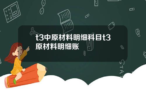 t3中原材料明细科目t3原材料明细账