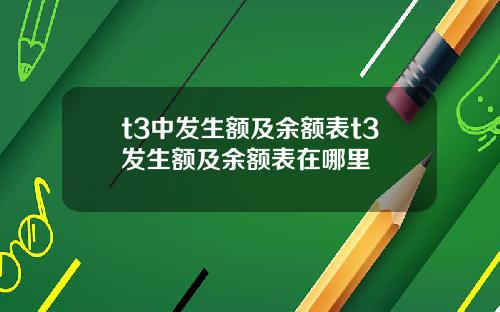 t3中发生额及余额表t3发生额及余额表在哪里