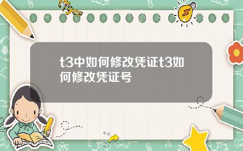 t3中如何修改凭证t3如何修改凭证号