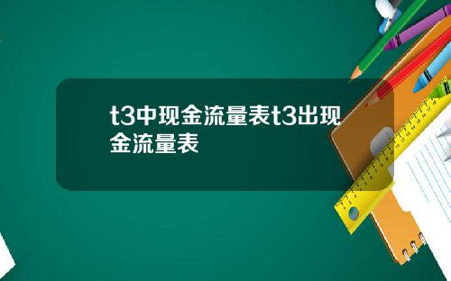 t3中现金流量表t3出现金流量表
