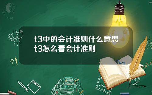 t3中的会计准则什么意思t3怎么看会计准则