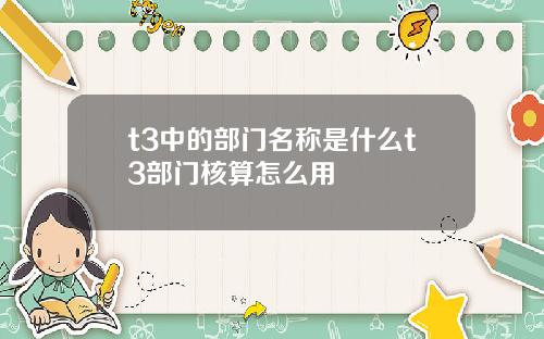 t3中的部门名称是什么t3部门核算怎么用