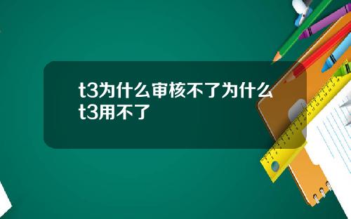t3为什么审核不了为什么t3用不了