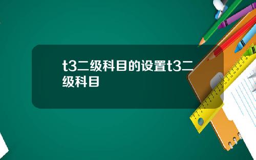 t3二级科目的设置t3二级科目