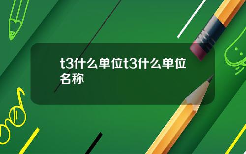 t3什么单位t3什么单位名称
