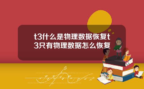 t3什么是物理数据恢复t3只有物理数据怎么恢复