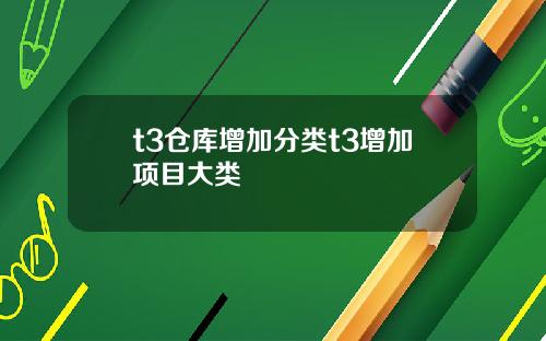 t3仓库增加分类t3增加项目大类