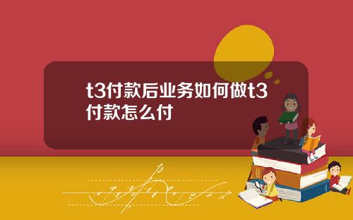 t3付款后业务如何做t3付款怎么付