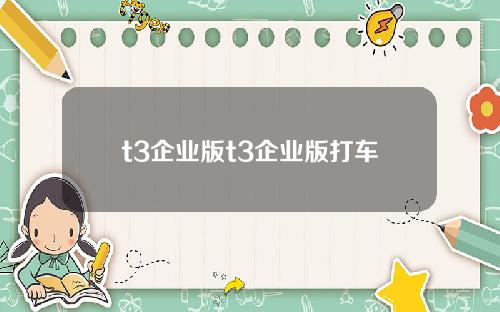 t3企业版t3企业版打车