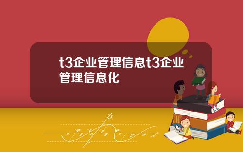 t3企业管理信息t3企业管理信息化