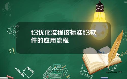 t3优化流程该标准t3软件的应用流程