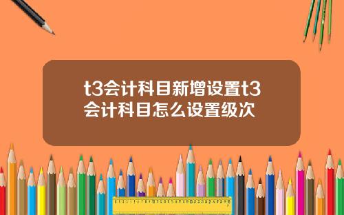 t3会计科目新增设置t3会计科目怎么设置级次