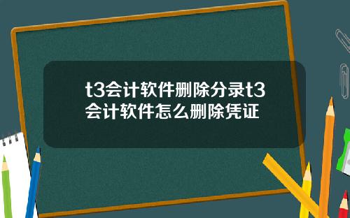 t3会计软件删除分录t3会计软件怎么删除凭证