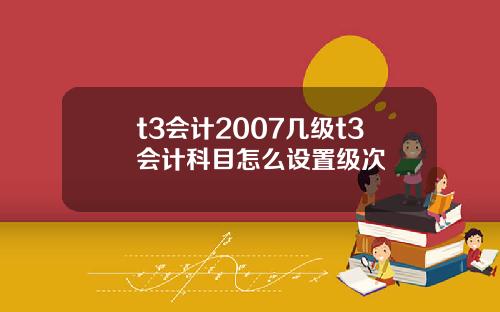 t3会计2007几级t3会计科目怎么设置级次
