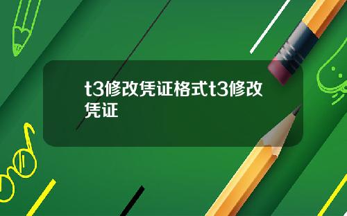 t3修改凭证格式t3修改凭证