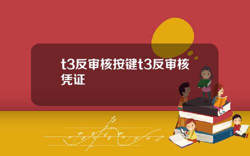 t3反审核按键t3反审核凭证