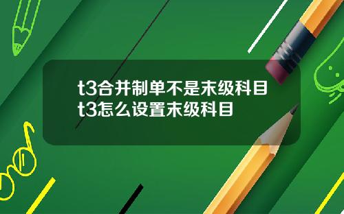 t3合并制单不是末级科目t3怎么设置末级科目