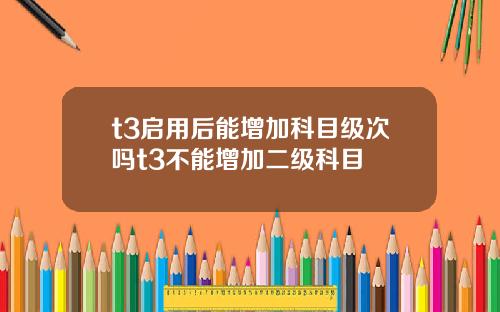t3启用后能增加科目级次吗t3不能增加二级科目