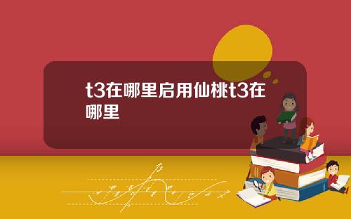 t3在哪里启用仙桃t3在哪里