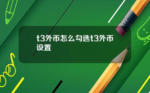 t3外币怎么勾选t3外币设置