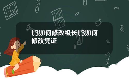 t3如何修改级长t3如何修改凭证