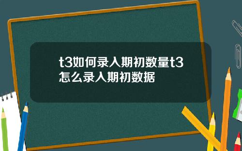 t3如何录入期初数量t3怎么录入期初数据