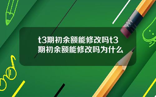 t3期初余额能修改吗t3期初余额能修改吗为什么