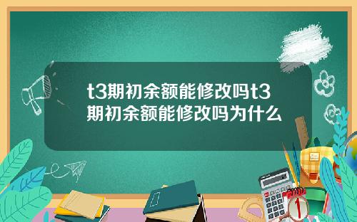 t3期初余额能修改吗t3期初余额能修改吗为什么