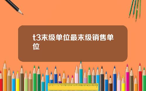 t3末级单位最末级销售单位