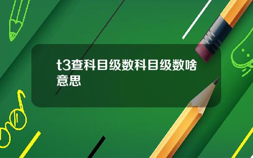 t3查科目级数科目级数啥意思
