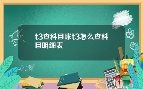 t3查科目账t3怎么查科目明细表