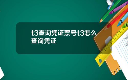 t3查询凭证票号t3怎么查询凭证