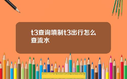 t3查询填制t3出行怎么查流水