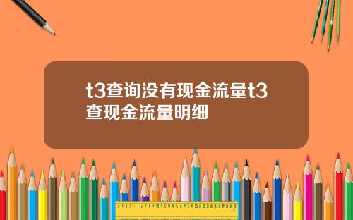 t3查询没有现金流量t3查现金流量明细