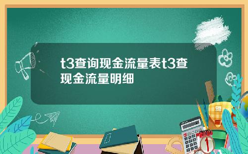 t3查询现金流量表t3查现金流量明细