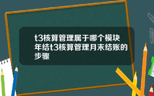 t3核算管理属于哪个模块年结t3核算管理月末结账的步骤
