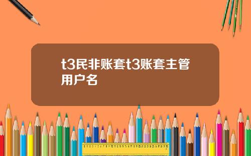 t3民非账套t3账套主管用户名