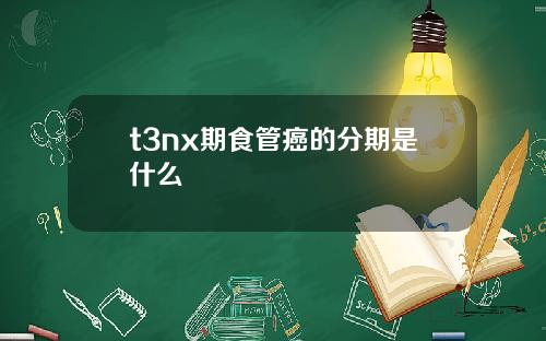 t3nx期食管癌的分期是什么