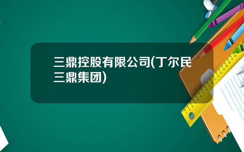 三鼎控股有限公司(丁尔民三鼎集团)