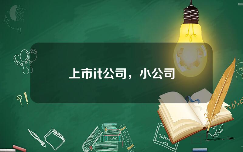 上市it公司，小公司