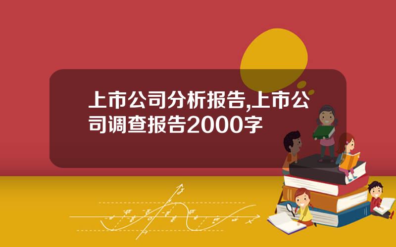 上市公司分析报告,上市公司调查报告2000字