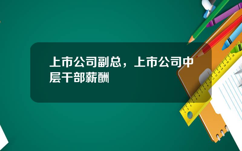 上市公司副总，上市公司中层干部薪酬