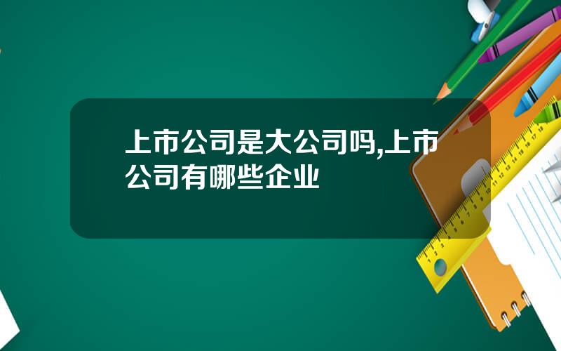 上市公司是大公司吗,上市公司有哪些企业