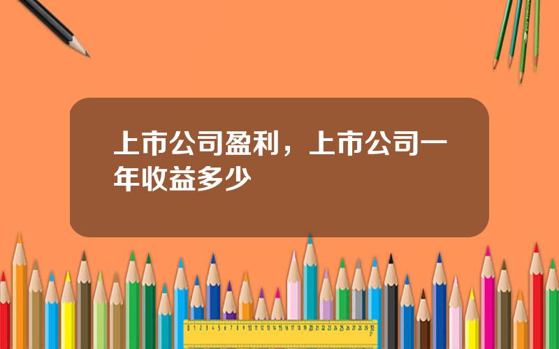 上市公司盈利，上市公司一年收益多少