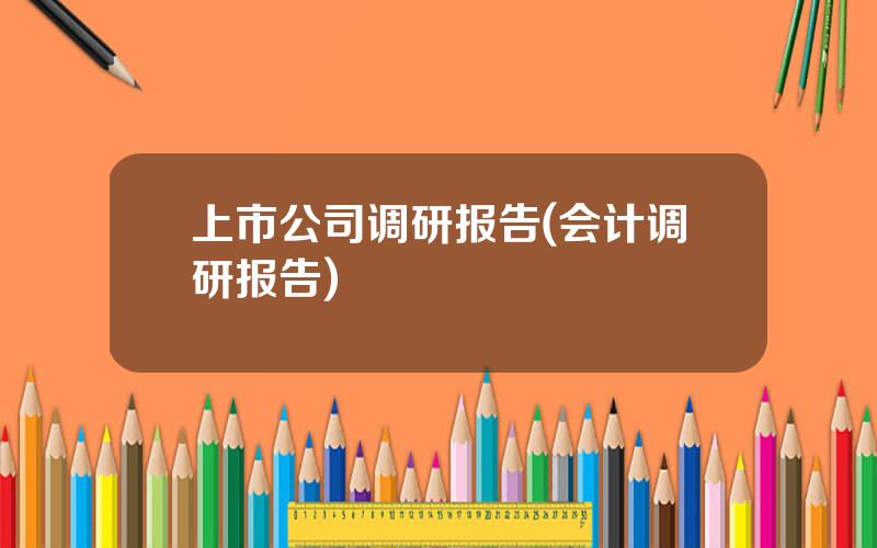 上市公司调研报告(会计调研报告)