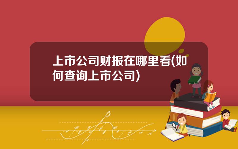 上市公司财报在哪里看(如何查询上市公司)