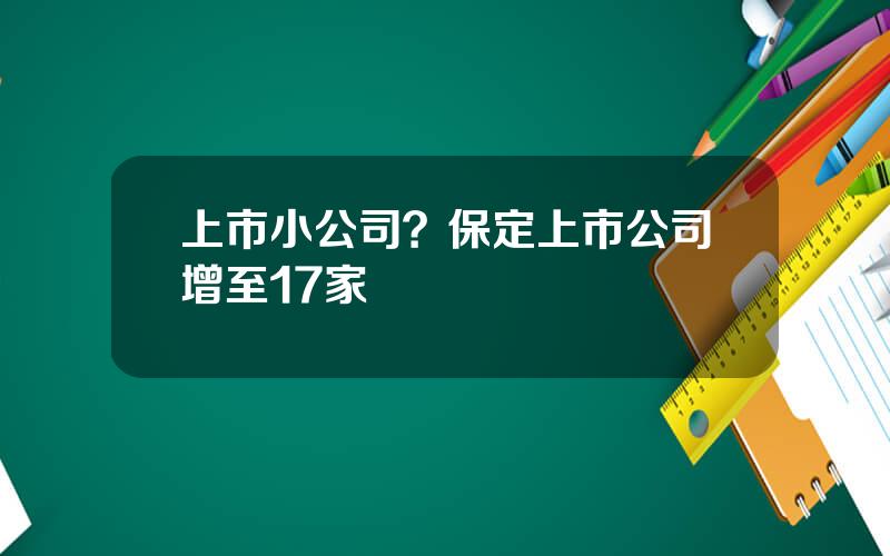 上市小公司？保定上市公司增至17家